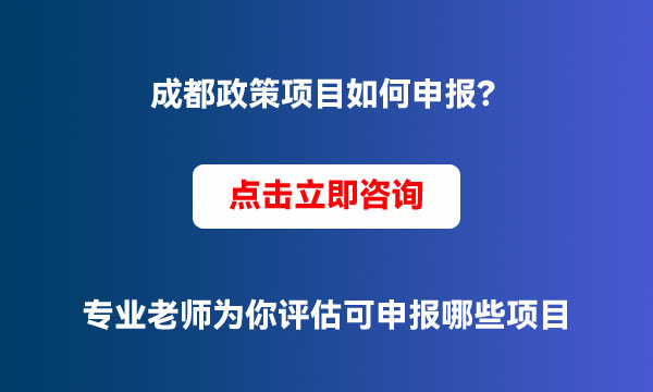 成都项目申报