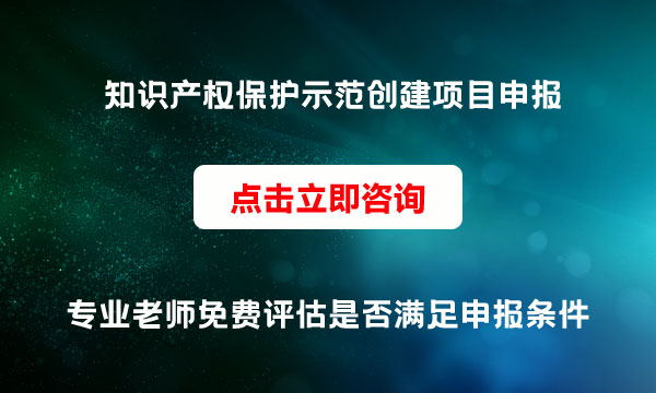 项目申报