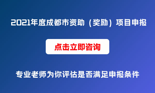 项目申报