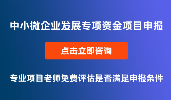 中小微企业发展专项资金项目申报