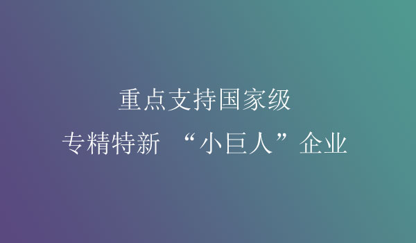 小巨人企业项目申报