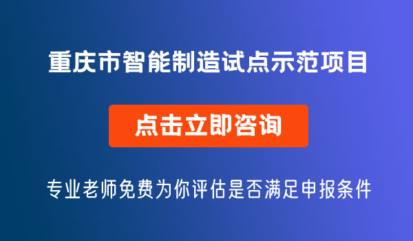 智能制造试点示范项目