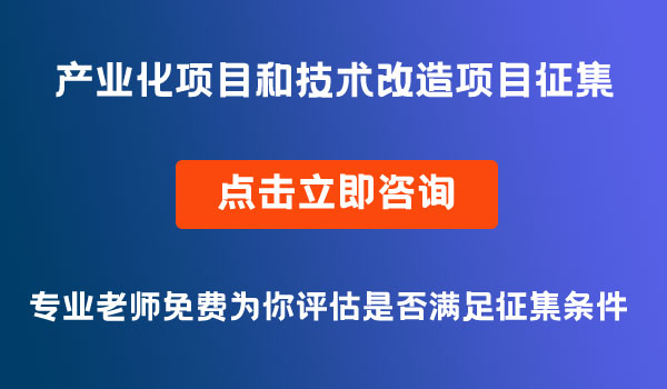 产业化项目和技术改造项目