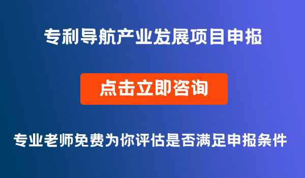 专利导航产业发展项目申报