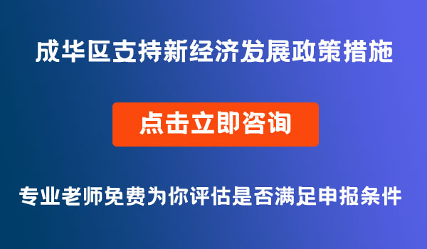 支持新经济发展政策措施