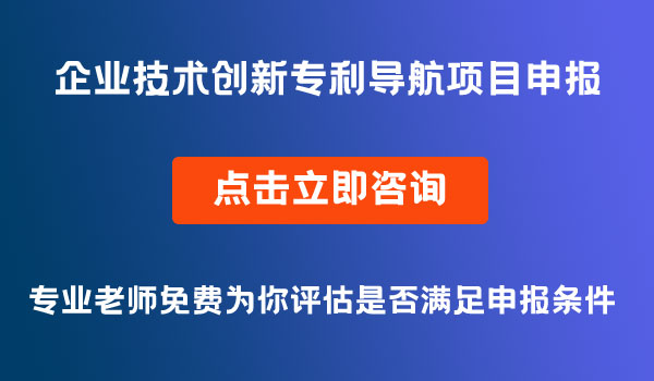 企业技术创新专利导航项目申报