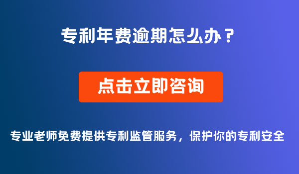 专利年费逾期