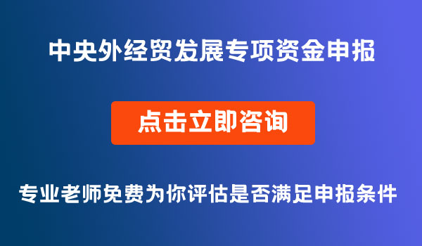 中央外经贸发展专项资金