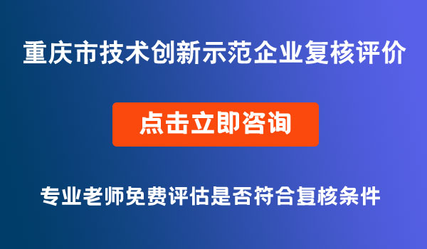 技术创新示范企业复核