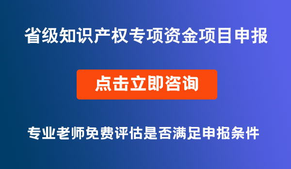 知识产权专项资金项目申报