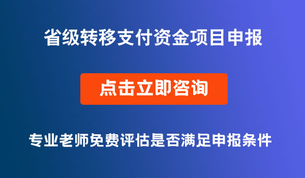 省级转移支付资金项目