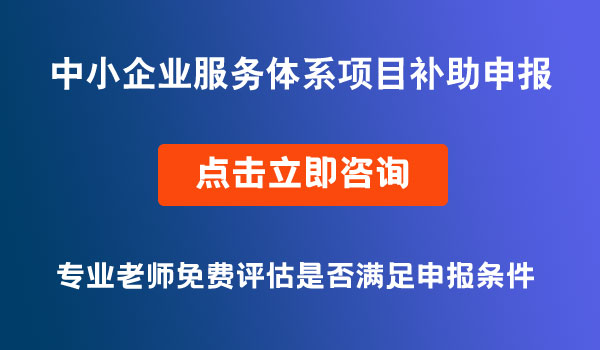 中小企业服务体系项目