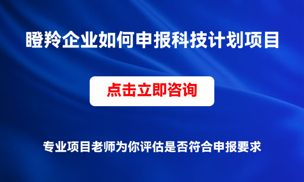 科技项目申报