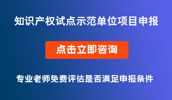 知识产权试点示范