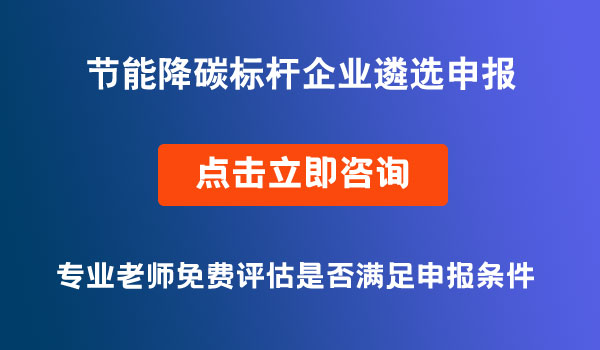 节能降碳标杆企业