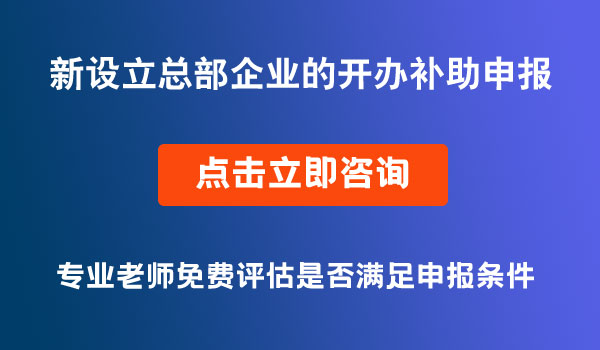 新设立总部企业的开办补助