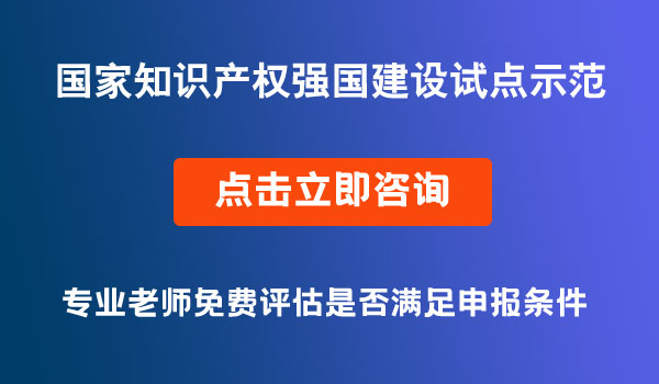 国家知识产权强国建设试点示范单位