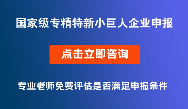 专精特新小巨人企业