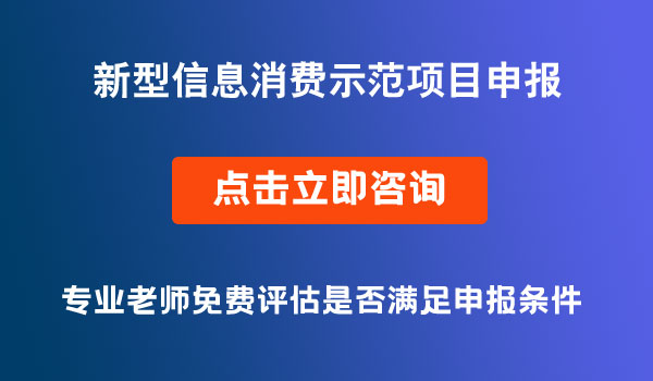 新型信息消费示范项目申报