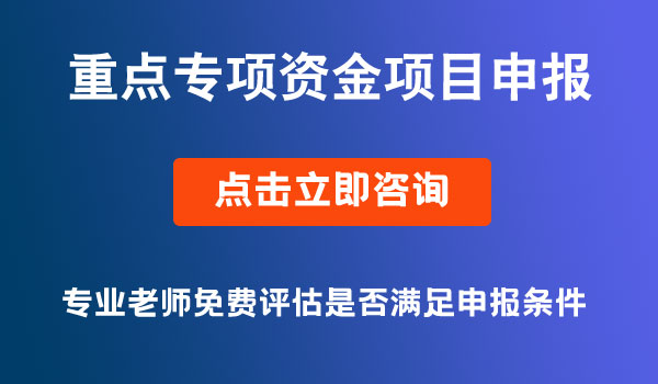 重点专项资金申报项目