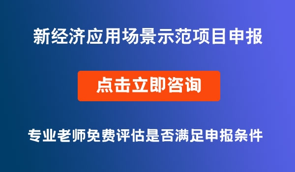 新经济应用场景示范项目、科技计划项目