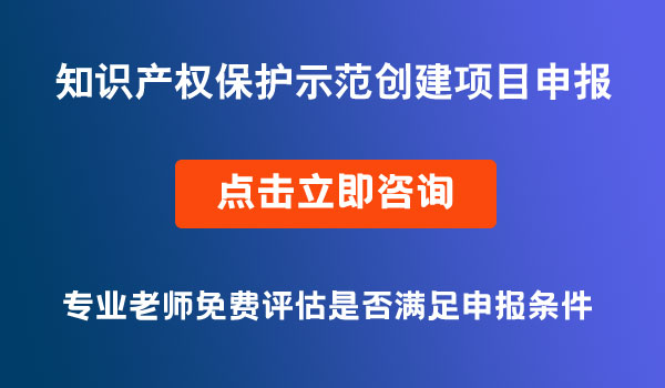 知识产权保护示范创建项目