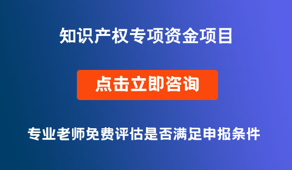 省级知识产权专项资金项目