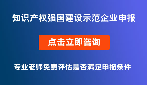 知识产权强国建设示范