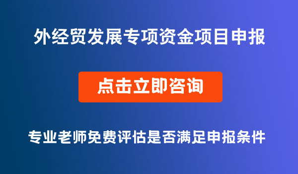 中央外经贸发展专项资金项目申请