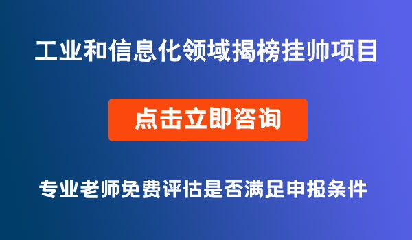 工业和信息化领域揭榜挂帅项目