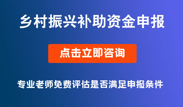 乡村振兴补助资金申报