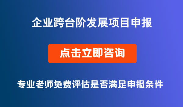 企业跨台阶发展项目