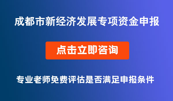 新经济发展专项资金申报