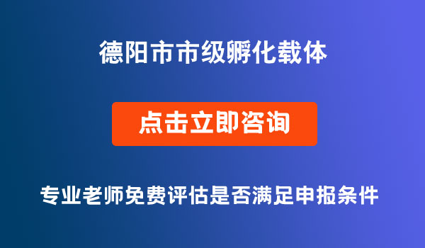 市级孵化载体