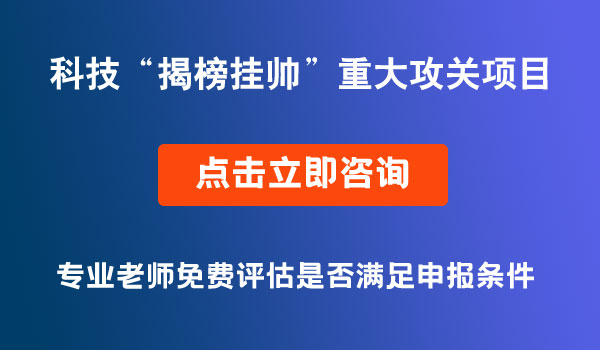 科技“揭榜挂帅”重大攻关项目