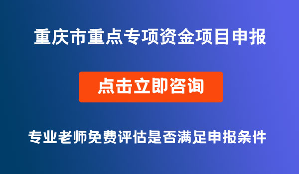 重点专项资金项目申报