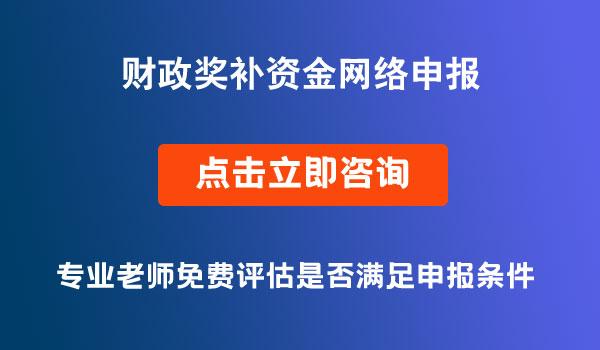 财政奖补资金网络申报