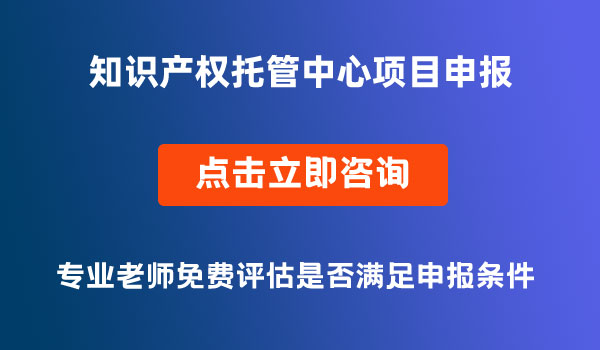 知识产权托管中心项目申报