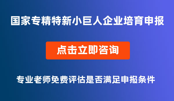 国家专精特新小巨人企业培育