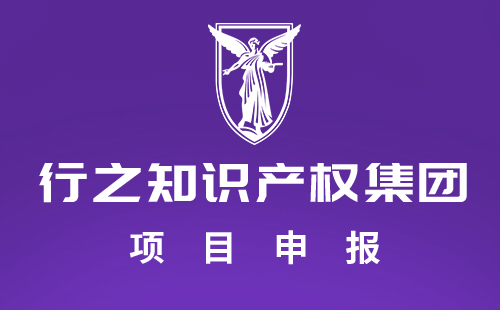 成都行之项目申报